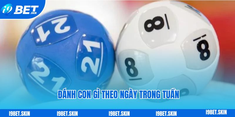 Đề về 08 hôm sau đánh con gì: Soi cầu i9bet giải đáp 5 Xác định đề về 08 hôm sau đánh con gì theo ngày trong tuần