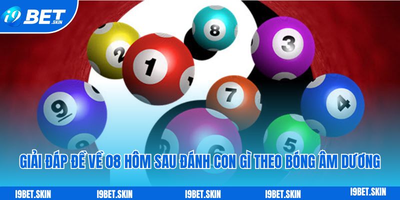 Đề về 08 hôm sau đánh con gì: Soi cầu i9bet giải đáp 4 Giải đáp đề về 08 hôm sau đánh con gì theo bóng âm dương