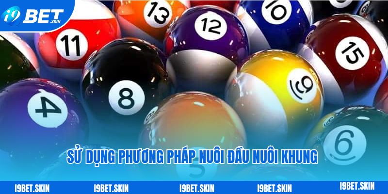 Đề về 18 hôm sau đánh con gì: Kinh nghiệm chơi đề i9bet 7 Sử dụng phương pháp nuôi đầu nuôi khung 3 ngày khi đề về 18