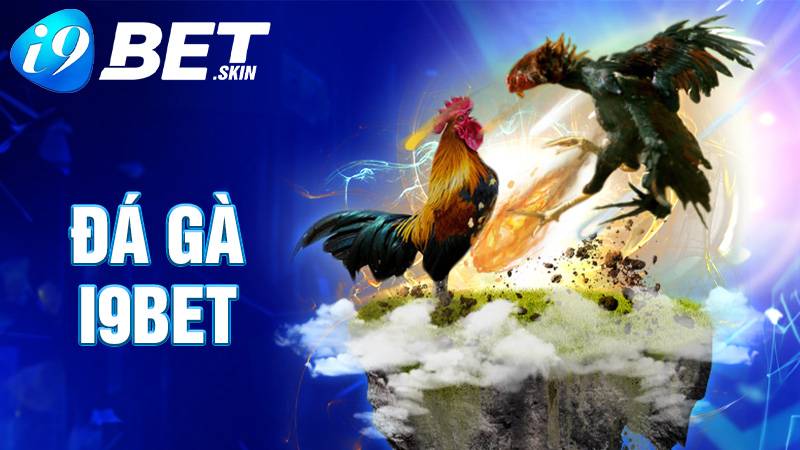 Đá gà i9bet: Sảnh đá gà trực tuyến rực lửa uy tín hiện nay 1 Đá gà i9bet